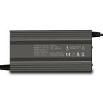 OEM Orders 1000W 25A 20A 15A 10A Waterproof 12V 24V 36V 48V 60V 72V LTO Lead