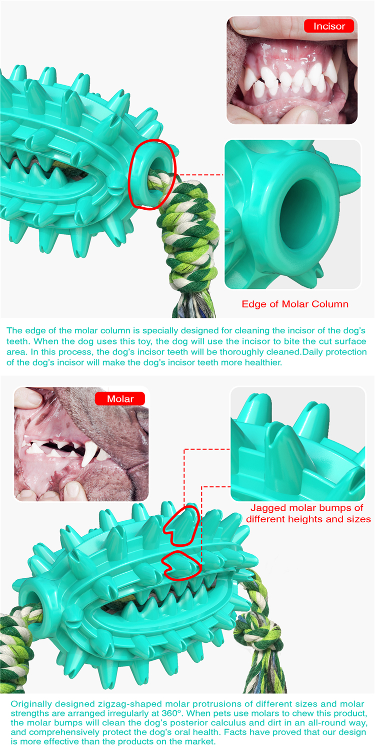 Pet Supply Wholesale Dogs Toothbrush Cleaning Durable Pet Chew Toy With Rope Molar Ball