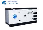 30KVA Ricardo Engine Generator Single Phase Water Cooling With ATS