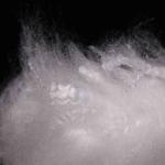 PET Low Melt Fiber Polyester Fiber 4D Polyester Fiber Fill For Clothing