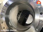 Stainless Steel / Alloy Steel / Carbon Steel Tube Bundle, Tubesheets For Heat