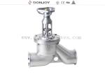 5" Globe Valve With Stainless Steel Actuator With Explosion-Proof Positioner For