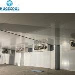 Pomegranate Cooler Storage with 3000CBM Cold Storage Cameras at Logistics
