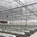 Food Grade PVC Planting Trough for Large-Scale Hydroponic Greenhouse Growing
