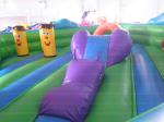 Tiger Fun Playground for Toddler (CYBC-31)