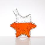 Super Flint Glass Unique Shape 500ml Star Shaped Wine Glass Bottle with