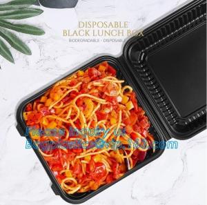 Wholesale Natural Compostable 3 Compartment Biodegradable Disposable Corn Starch Food Container,starch 4 compartment microwave foo from china suppliers