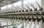 Small Nitrile Glove Manufacturing Machine Rubber Latex Surgical Glove Production