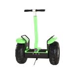 Standing 2 Wheel Electric Scooter Green / Self Balancing Transporter Brush DC