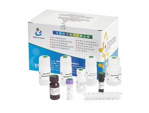 China High Accuracy Male Fertility Test Kit 40T/Kit For Male Infertility Diagnosis on sale