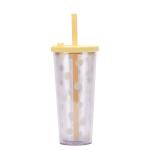 Clear Insulated Double Wall Plastic Tumblers 24oz With Lids And Straws
