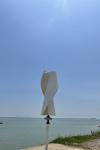 12V Low Wind Speed Vertical Wind Turbine 300W Low Rpm Wind Generator Motor
