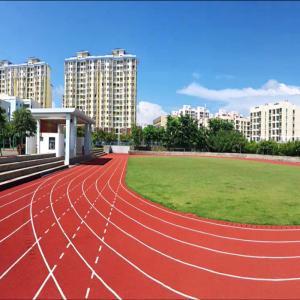 Wholesale IAAF Certificated 13mm Running Track For School Stadium Sports Flooring from china suppliers
