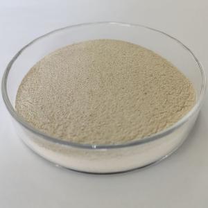 Wholesale Neutral Protease Industrial Fields Hydrolyze Proteins And Peptides from china suppliers