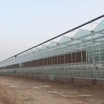 Vegetable Fruits Flowers Glass Agriculture Greenhouse with Inside Outside