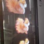 Factory Price Self-Adhesive Advertising Display Ultra-Thin P20Transparent LED