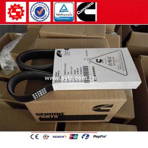 Wholesale Genuine Cummins NT855 Water pump Belt 217638 for shantui bulldozer SD22 SD22S from china suppliers