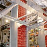 Customized Available Battery Layer Chicken Cage Chicken Poultry Farms