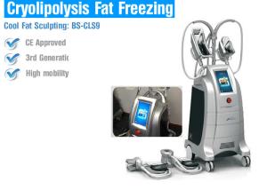 Wholesale Safety Cryolipolysis Fat Loss Machines , Fat Freezing Body Contouring Machine from china suppliers