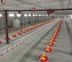 Wholesale High Accuracy Chicken Feeding Line 1.5KW System Of Feeding In Poultry from china suppliers