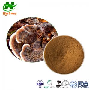 China Turkey Tail / Yunzhi Extract Polysaccharides Trametes Versicolor Extract on sale