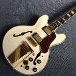 Hollow body jazz electric guitar, Double F holes,Ebony Fingerboard,Tremolo
