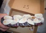 Half Cutted Portunus Crab