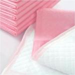Breathable Quick Dry Thick Cat Dog Care Pet Pee Pad