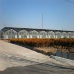 6 Foot 8 Foot Double Roof Arch Muliti Span Film Greenhouse Keep Warm For