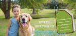 biodegradable Pet Waste Bags Dog Poop Bag, Pet Printing Waste Bags Handle Dog