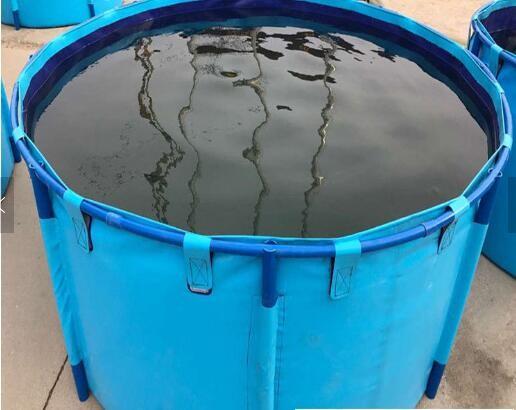 Fish Farming Aquarium Water Storage Tank, Blue Cylinder Above Ground Fish Pond