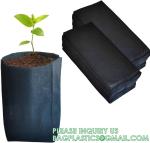 Nursery Growing Bags Large, 7.8x8.6 inches Biodegradable Fabric Seedling Grow