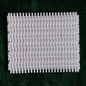 Wholesale                  Food Grade Anti-Abrasion Modular Plastic Conveyor Belt China Supplier              from china suppliers