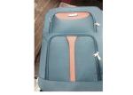 Polyester Lining Soft Wheel Suitcase