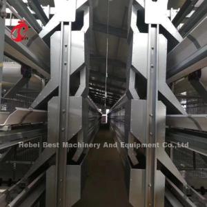 Wholesale A Type Automatic Galvanized Poultry Farming Cage System For Layers In Nigeria Popular Rose from china suppliers