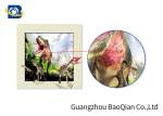 0.9mm PET 3D / 5D Pictures Dinosaur Image 40x40cm Size For Decoration