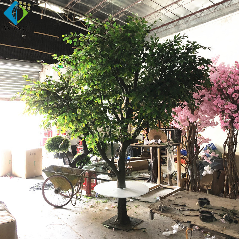 T201030 ficus artificial.jpg