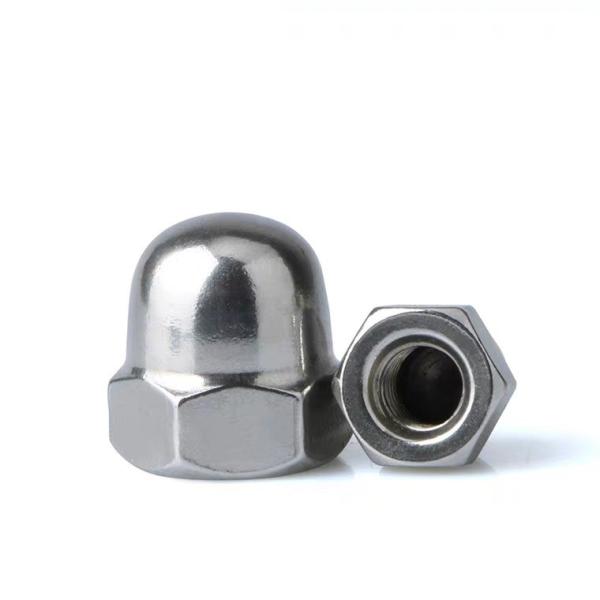 M6 Flange Dome Cap Nut Heavy Industry's Top Payment Term T/T for Stainless End