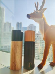 Wholesale High Quality 17cm Tall Salt And Pepper Mill Ceramic &amp; Rubber Wood Construction from china suppliers