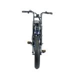 48V 20 Ah Fat Tyre Electric Bike for Customized Blue Beach Bikes Cruisers