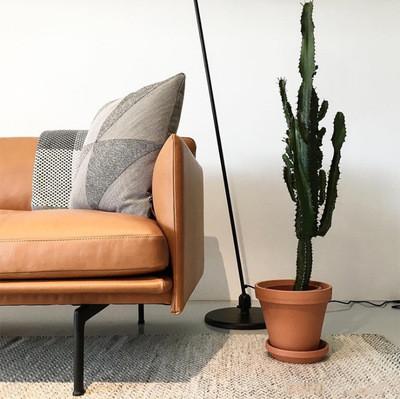 Comtemporary Living Room sofa with wood / modern fabric sofa / leather Single