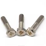 A2-70 A4-80 Iso4017 Ansi B18.2.1 Din931 Gb5782 Hex Head Bolts Stainless Steel