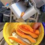 185KG 380V Commercial fruit and vegetable cutting machine carrot and eggplant