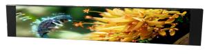 Wholesale P1.538 Led Window Display Signs High Definition 3840HZ High Referesh Rate from china suppliers