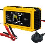 PC Fireproof Material 20A/12V 10A/24V Car Battery Charger Fully Smart Charger