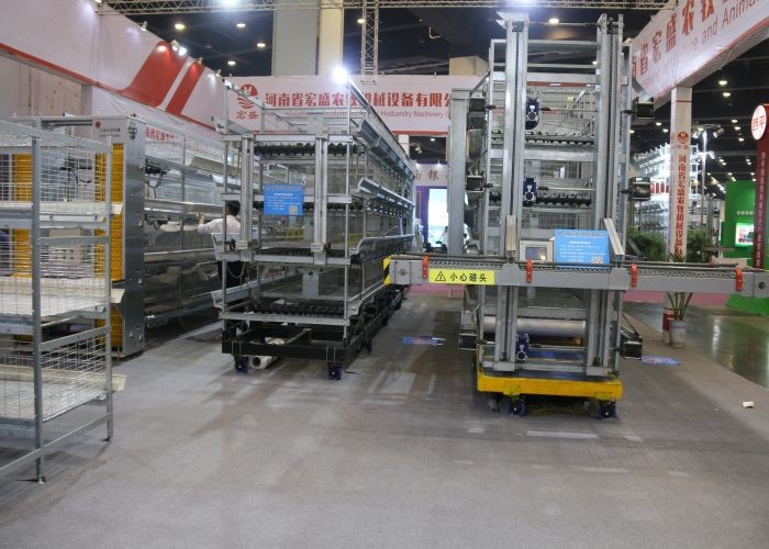 Drying Automatic Manure Removal System Comfortable Environment For Chicken