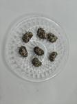 Black and White Sesame Cashew Nuts