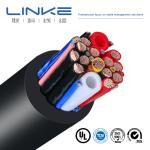 Full Payment 16A Portable Electric Vehicle Charger Cable for J1772 Connector