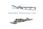 10KW Vegetable Salad Cabbage Lettuce Washing Production Line