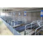 Roller Door Roofing Wall Detachable Steel Frame Structure Building Piggery House